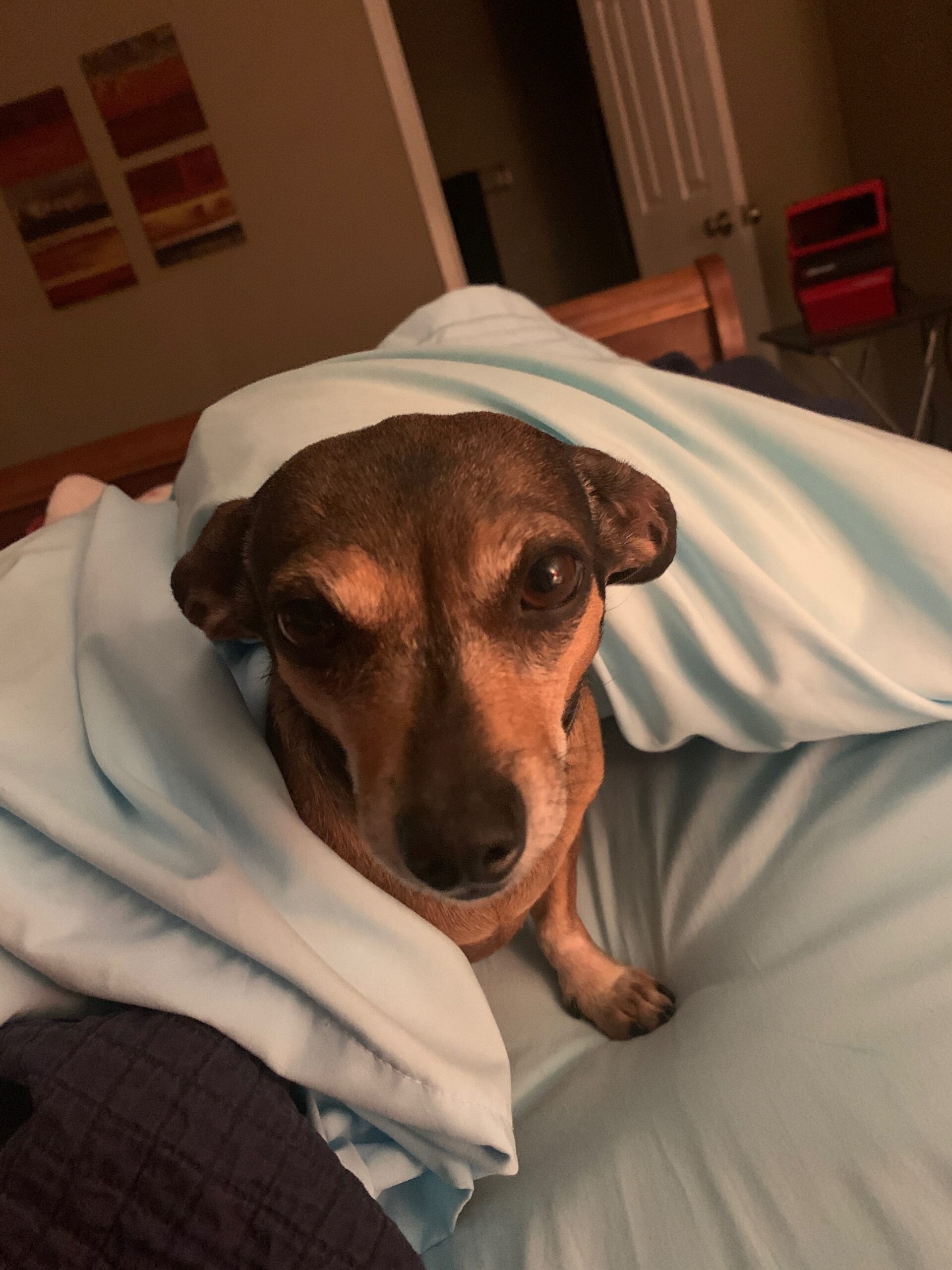 Producing music right now, (and it’s a lot of fun).