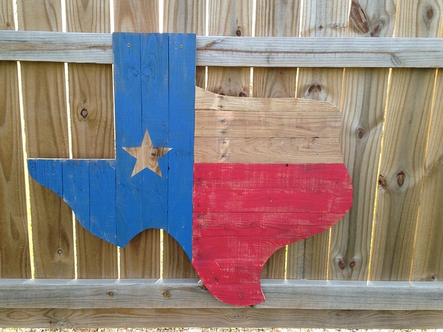 Texas and music, awesome. Texas and politics, not so much.