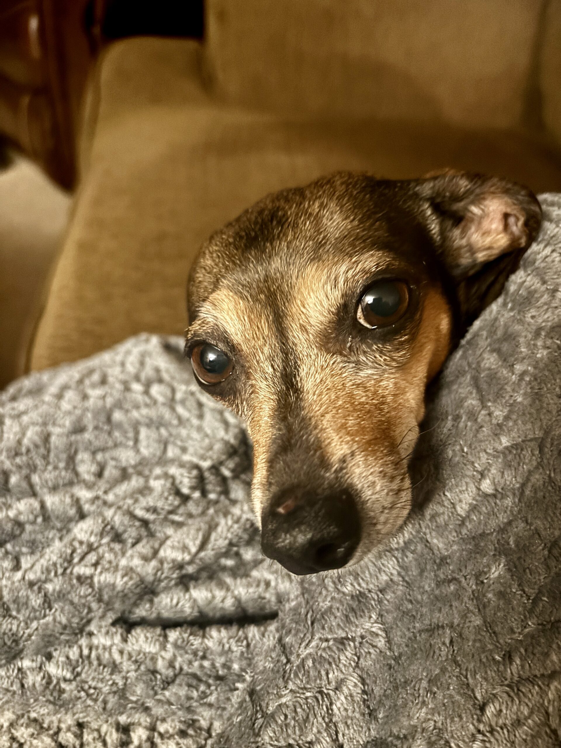 Lazy Sunday and some Music Recommendations.